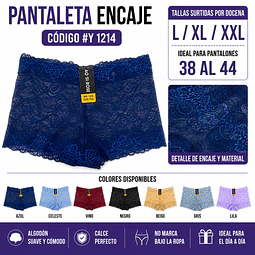 Pantaleta con encajes tallas y colores surtidas la docena 