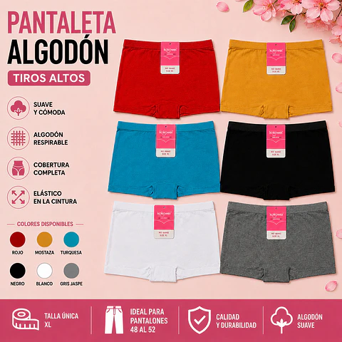 Pantaleta algodón talla única XL tamaño especial y colores surtidas la docena 