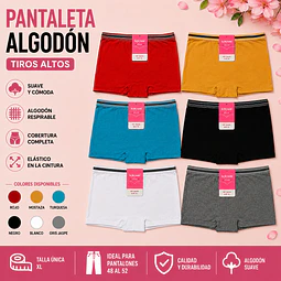 Pantaleta algodón talla única XL tamaño especial y colores surtidas la docena 