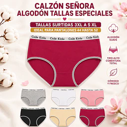 Calzon señora algodon tallas especiales 3 XL al 5 XL ideal para pantalón 44 al 52 la docena 