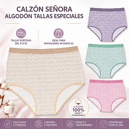 Calzon señora algodon tallas especiales 3 XL al 5 XL ideal para pantalón 44 al 52 la docena 