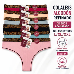 Colaless algodón refinado diseños acanalado Banda elástica ancha tallas y colores surtidas la docena 