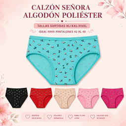 Calzon señora algodón poliéster tallas y colores surtidas la docena 