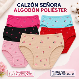 Calzon señora algodón poliéster tallas y colores surtidas la docena 
