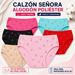 Calzon señora algodón poliéster tallas y colores surtidas la docena 
