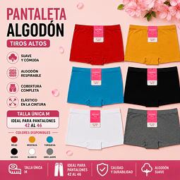 Pantaleta señora algodón talla única M y colores surtidas la docena 