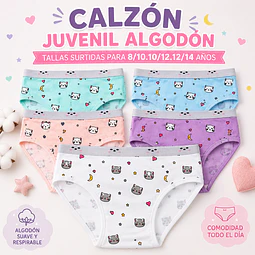 Calzón juvenil algodón tallas y colores surtidas la docena 