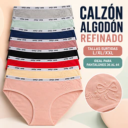 Calzón algodón Banda elástica ancha tallas y colores surtidas la docena 