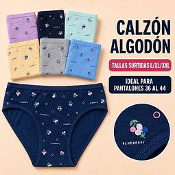 Calzón algodón tallas y colores surtidas la docena 