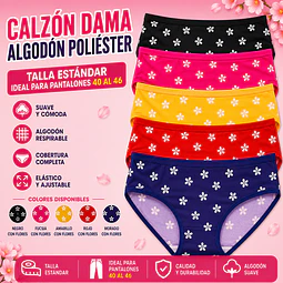 Calzón señora  algodón poliéster tallas estándar y colores surtidas la docena 