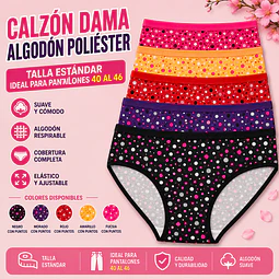 Calzón señora  algodón poliéster tallas estándar y colores surtidas la docena 