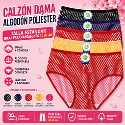 Calzón señora  algodón poliéster tallas estándar y colores surtidas la docena 