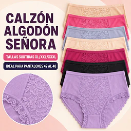 Calzón señora algodón tallas y colores surtidas la docena 