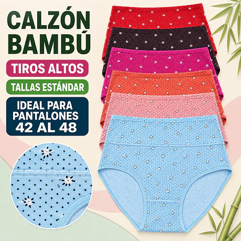 Calzón bambú señora talla estadanr y colores surtidas la docena 