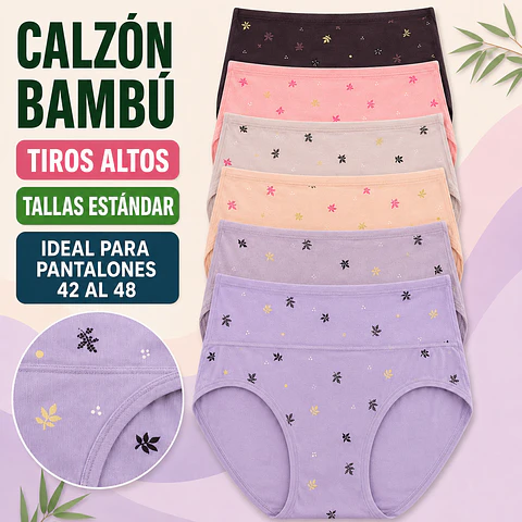 Calzón bambú señora talla estadanr y colores surtidas la docena 