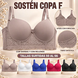 Sostén copa F con 6 broches en la espalda tallas y colores surtidas la docena 