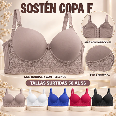 Sostén copa F con 6 broches en la espalda tallas y colores surtidas la docena 