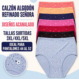 Calzon señora algodón refinado tallas especiales y colores surtidas la docena  