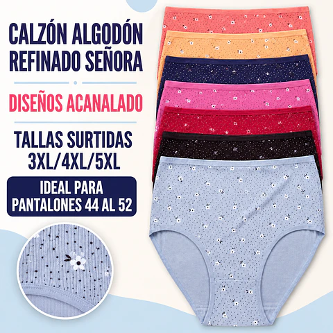 Calzon señora algodón refinado tallas especiales y colores surtidas la docena  