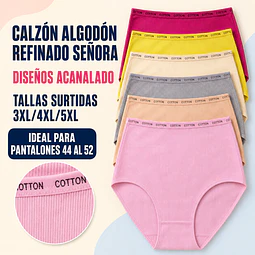 Calzon señora algodón refinado tallas especiales y colores surtidas la docena  
