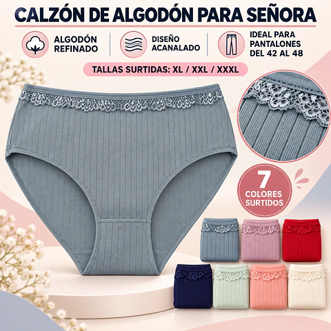 Calzon señora algodón refinado tallas y colores surtidas la docena  