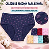Calzon señora algodón tallas y colores surtidas la docena  