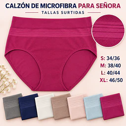 Calzón señora microfibra tallas y colores surtidas la docena 