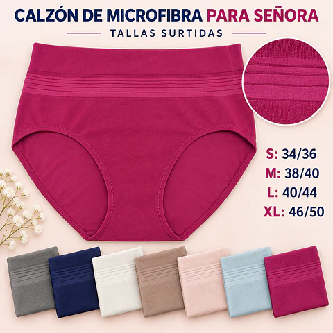 Calzón señora microfibra tallas y colores surtidas la docena 