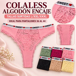 Colaless Algodón tallas y colores surtidas la docena 