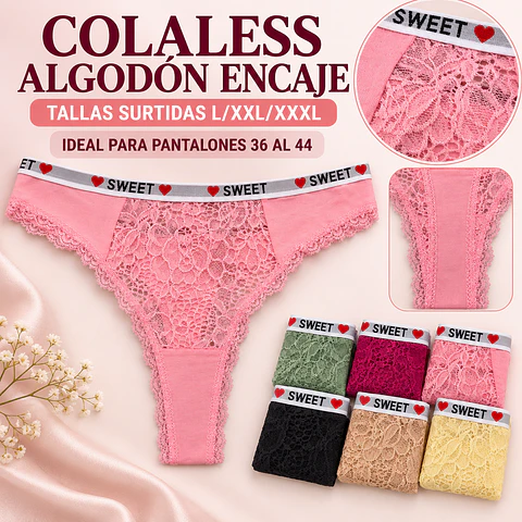 Colaless Algodón tallas y colores surtidas la docena 