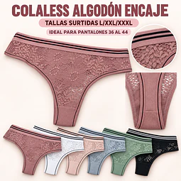 Colaless Algodón tallas y colores surtidas la docena 