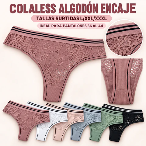 Colaless Algodón tallas y colores surtidas la docena 