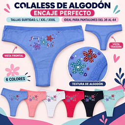 Colaless Algodón tallas y colores surtidas la docena 