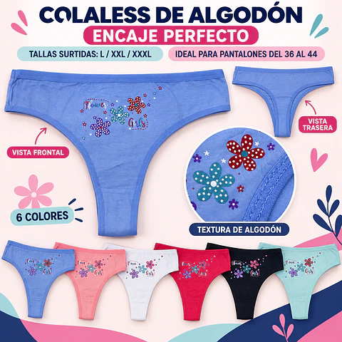 Colaless Algodón tallas y colores surtidas la docena 