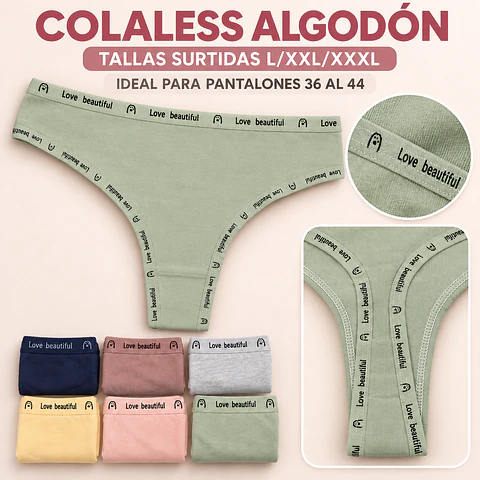Colaless Algodón tallas y colores surtidas la docena 