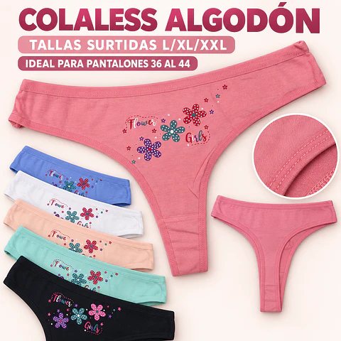 Colaless Algodón tallas y colores surtidas la docena 