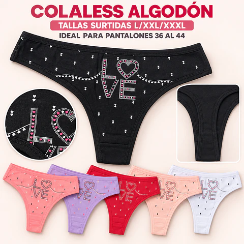 Colaless Algodón tallas y colores surtidas la docena 