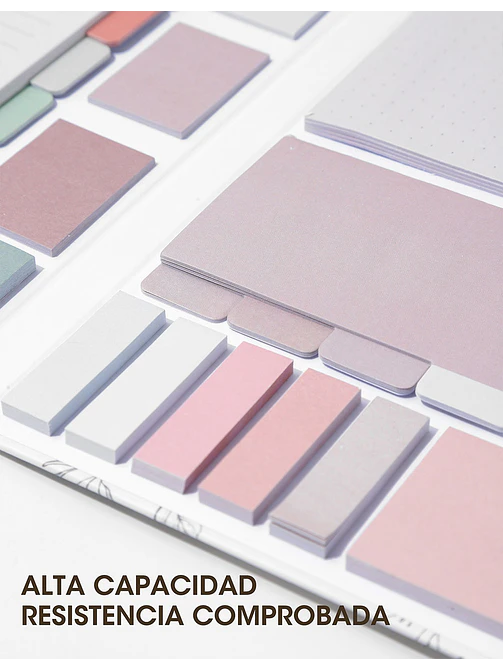 SET DE NOTAS ADHESIVAS C/U 2