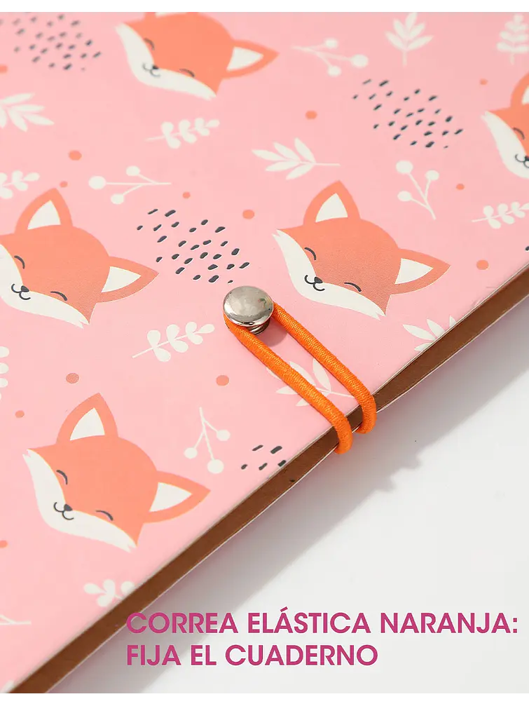 CUADERNO C/U 6