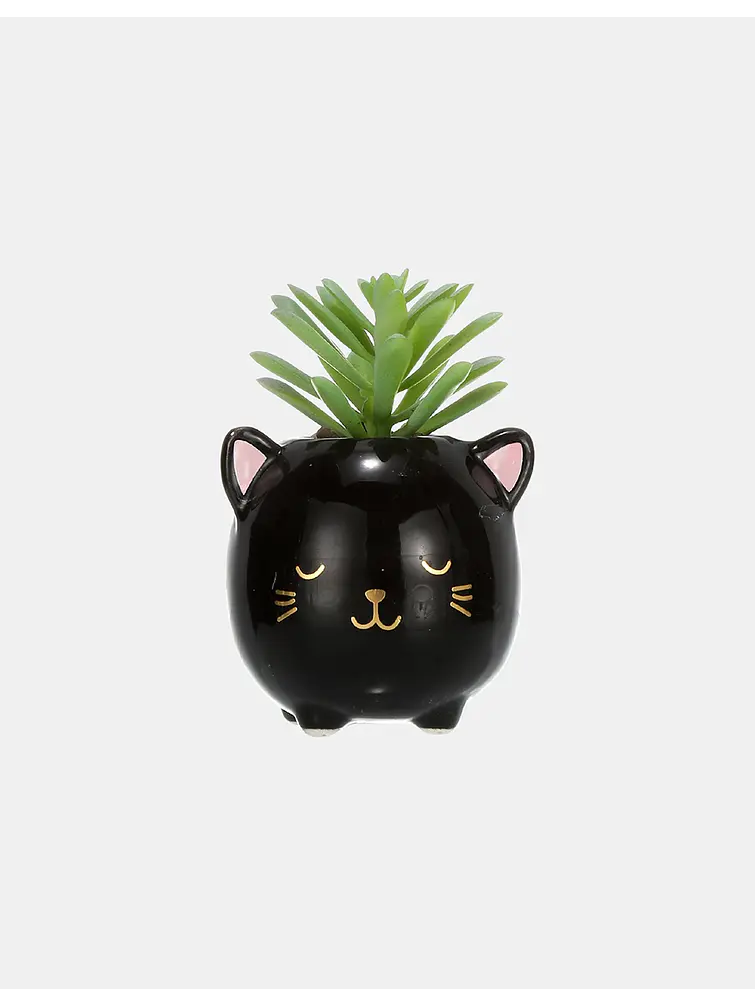 MACETA CON PLANTA C/U 1