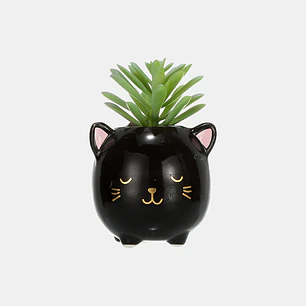 MACETA CON PLANTA C/U