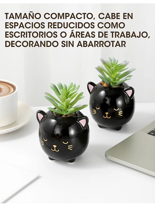 MACETA CON PLANTA C/U 2