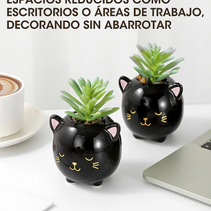 MACETA CON PLANTA C/U