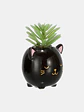 MACETA CON PLANTA C/U - Miniatura 3