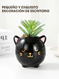 MACETA CON PLANTA C/U - Miniatura 4