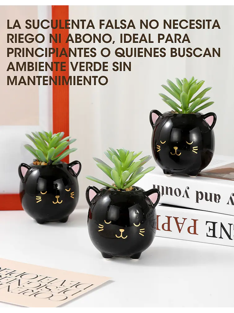 MACETA CON PLANTA C/U 5
