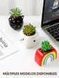 MACETA CON PLANTA C/U - Miniatura 6