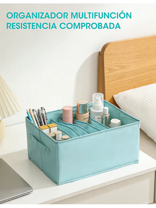 ORGANIZADOR C/U 2