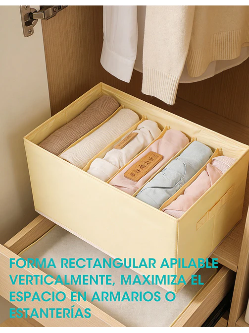 ORGANIZADOR C/U 2