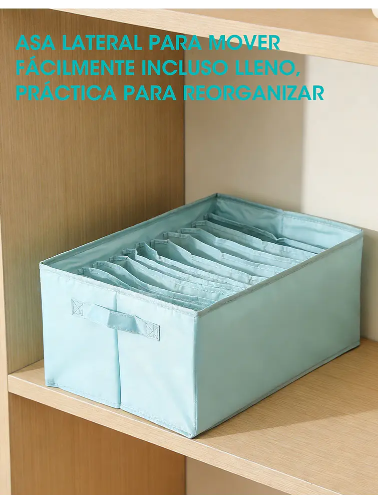 ORGANIZADOR C/U 6